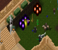 pet.png