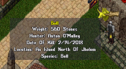 1529761203696.png