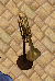 1530062126243.png