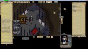wtf.jpg
