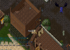 poly.png