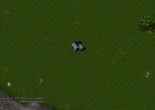 NoHouse2.png