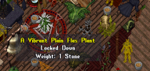 1612367352640.png