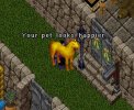 feedme.jpg