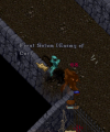 12.png