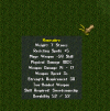 Runic.png