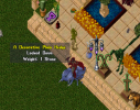Hedge 1.png
