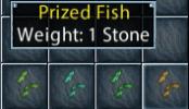 fish.png